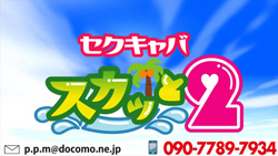 エキサイティング　パブ　スカッと2の求人動画